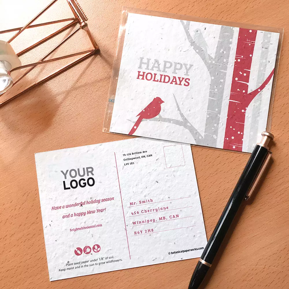 Cartes postales de vacances plantables aux arbres de bouleau