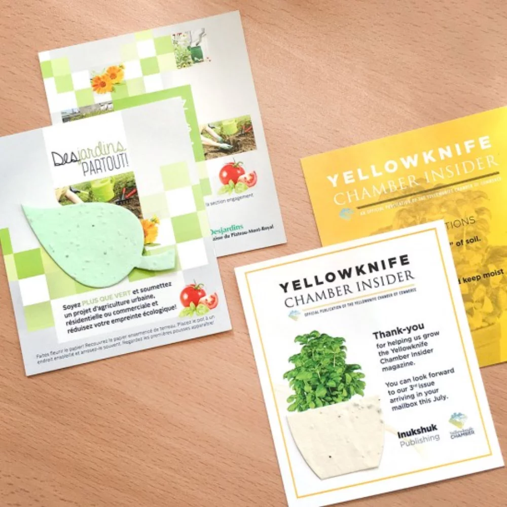 Petite Eco Panel Card with Shape, 2-Sided