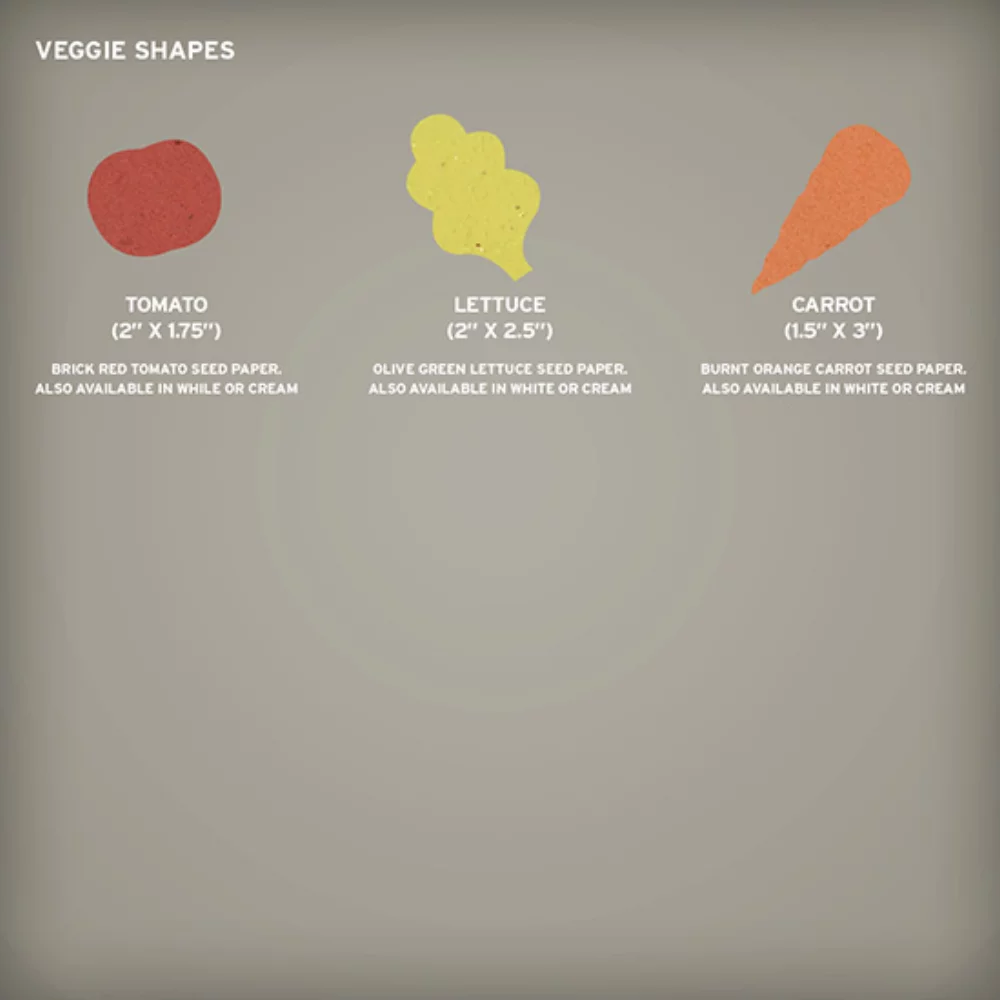 Petite Eco Panel Card with Shape, 2-Sided