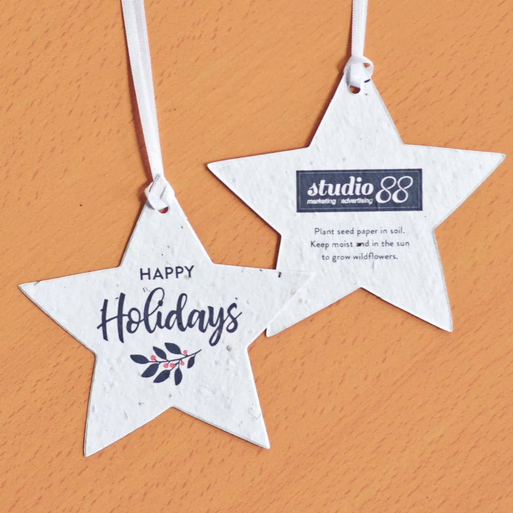 Classic Twig Plantable Star Ornaments