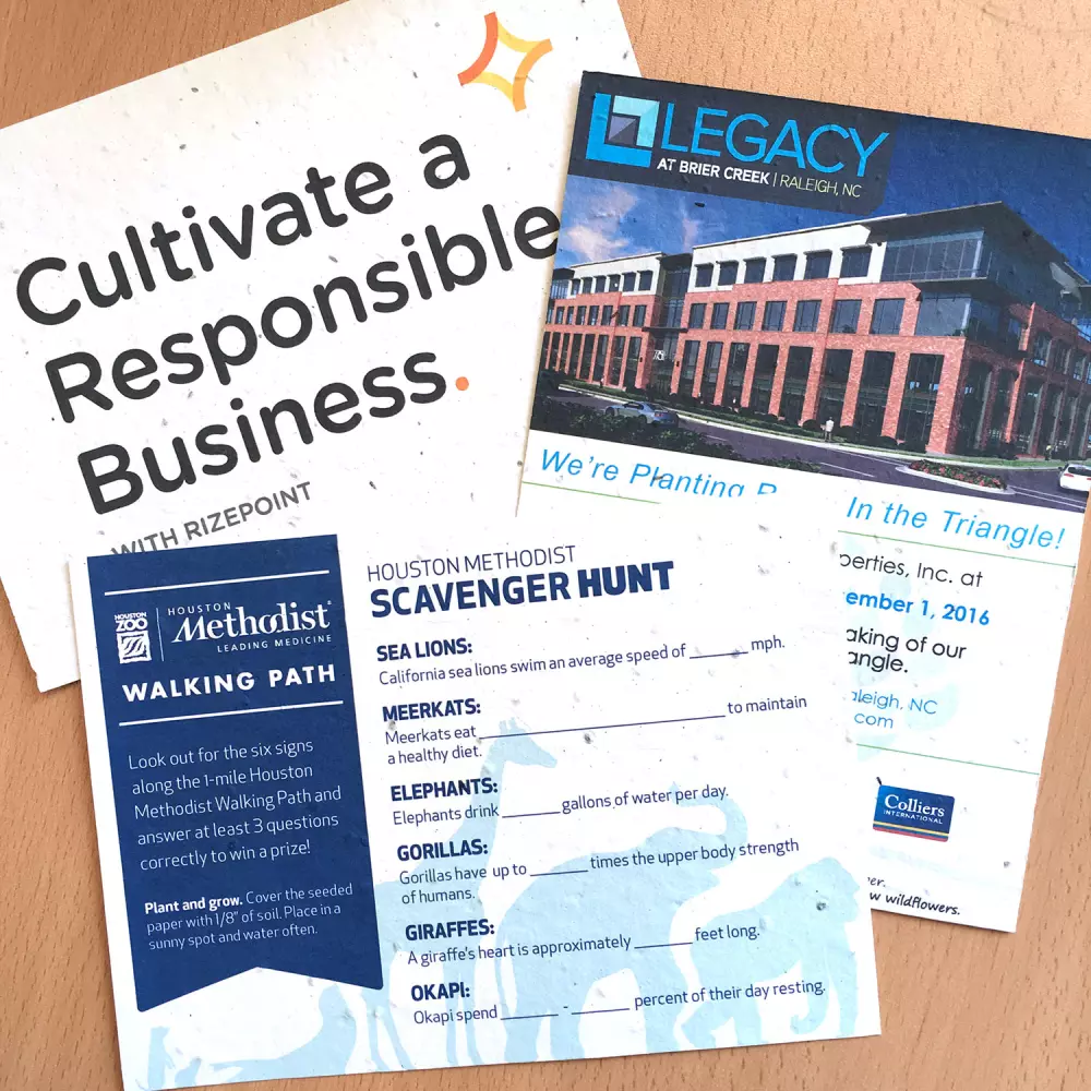 Carte grand panneau en papier ensemencé, 1 face