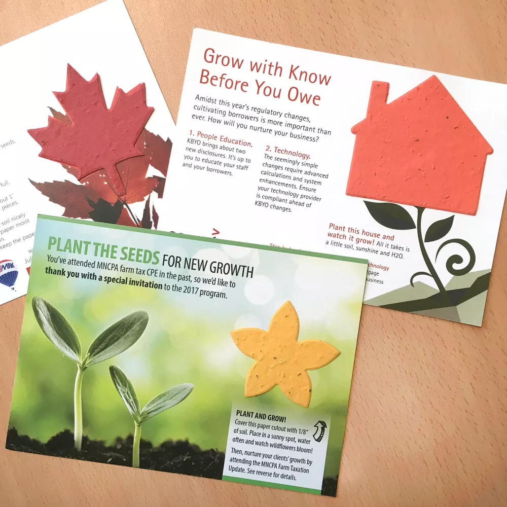 Large Eco Panel Card with Shape, 1-Sided