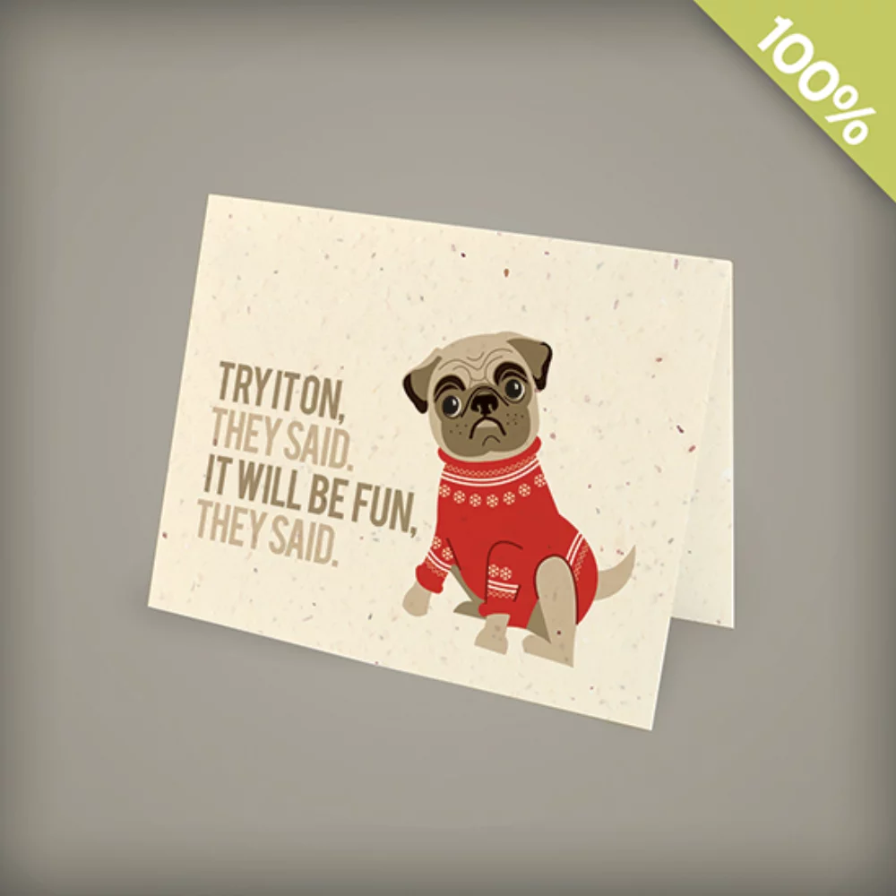 A2 - Seed Paper Personalized Holiday Cards - Holiday Pug