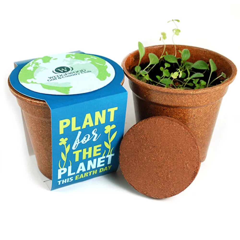 Plant for the Planet Seed Paper Sprouter Kit