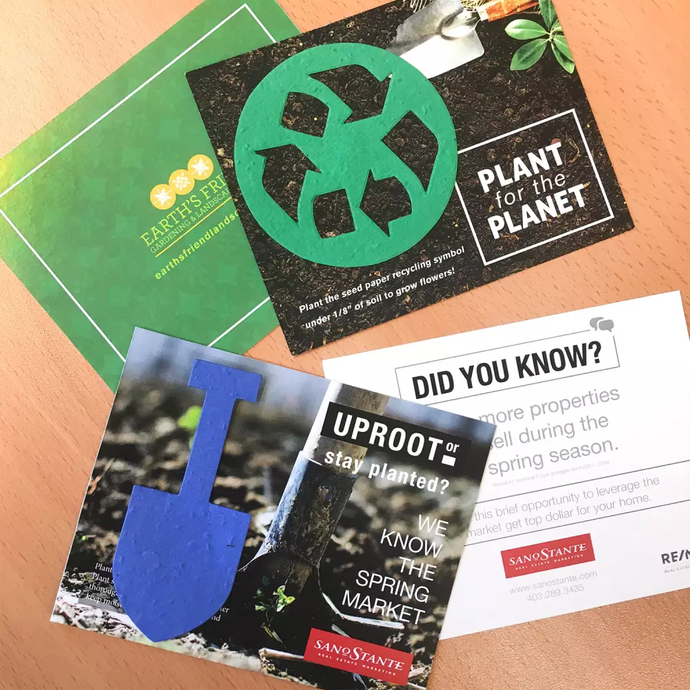 Small Eco Panel Card with Shape, 2-Sided