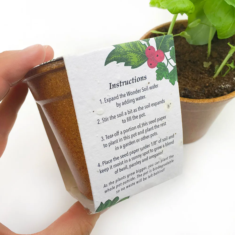 Season's Greenings Herb Seed Paper Sprouter Kit