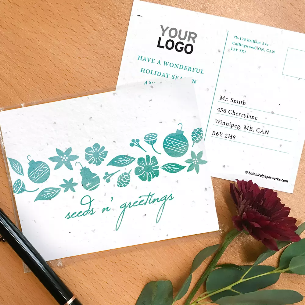 Cartes postales de vacances plantables Seeds n' Greetings
