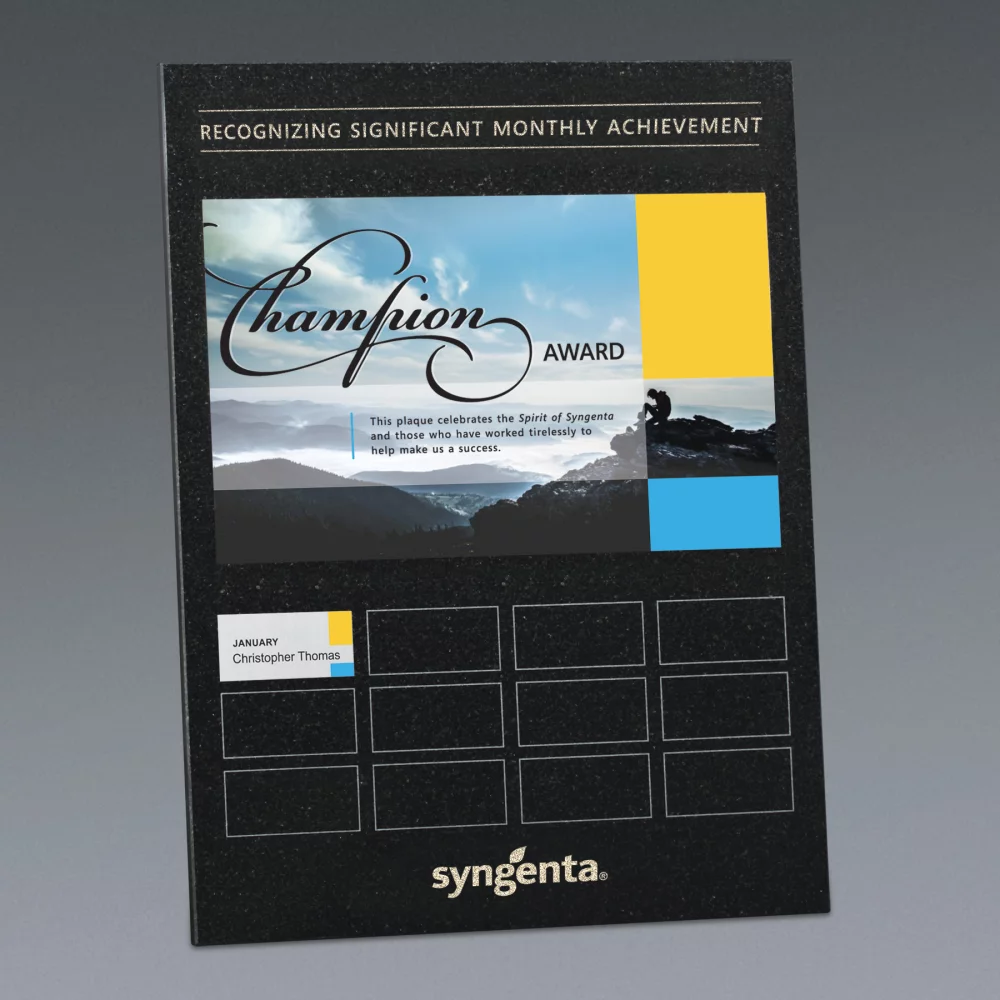 Combinaison Granite 8 Plaques