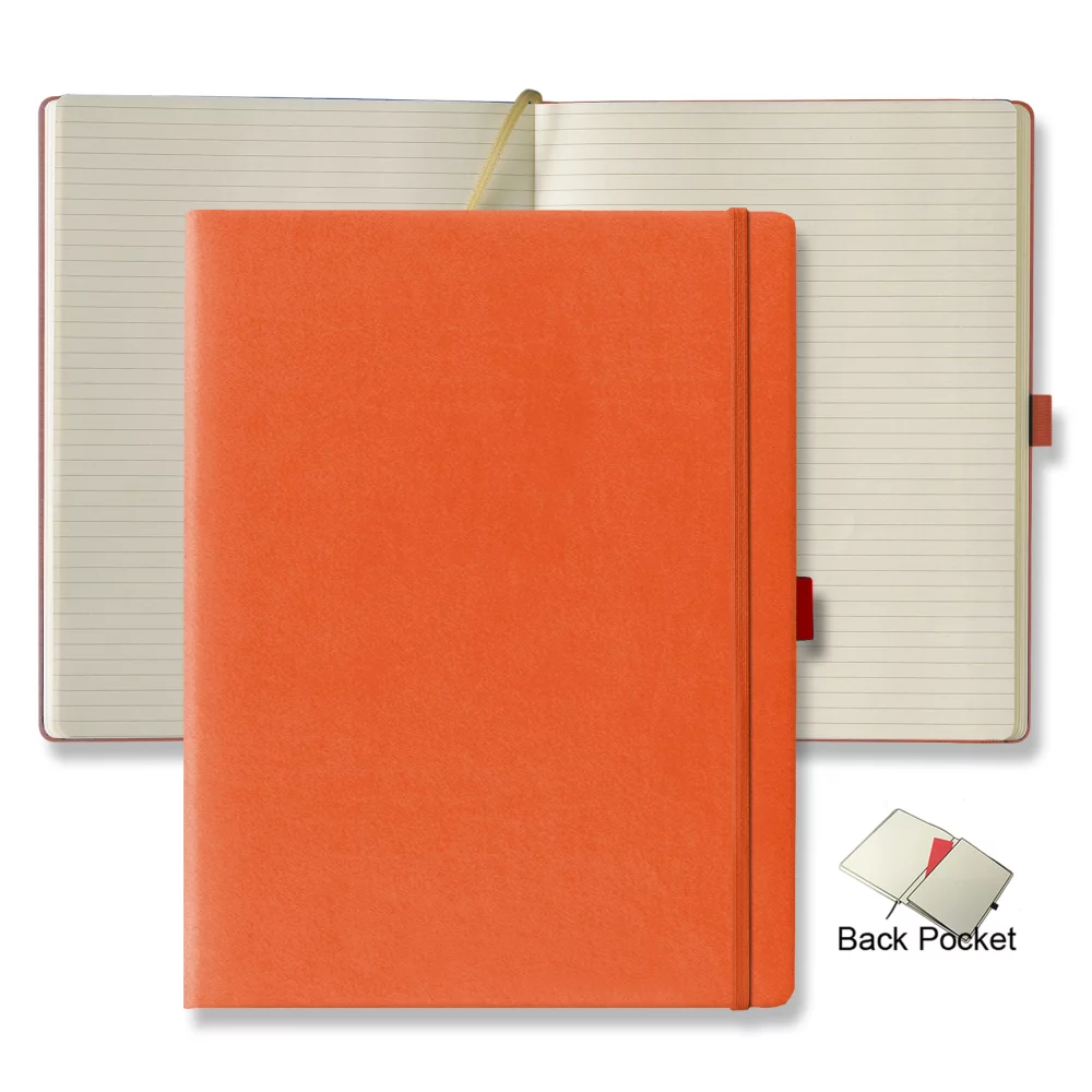 Grand journal ivoire de Tucson