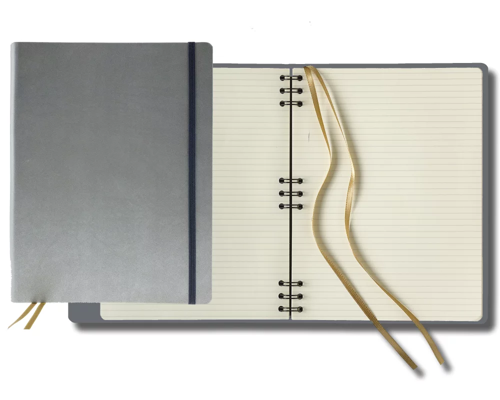 Grand hybride ivoire de Tucson