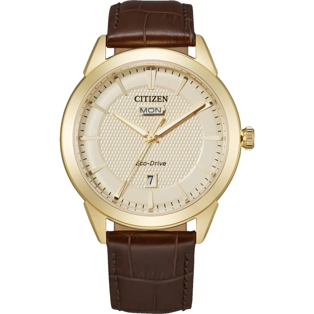 Montre analogique Citizen® pour homme en or Rolan