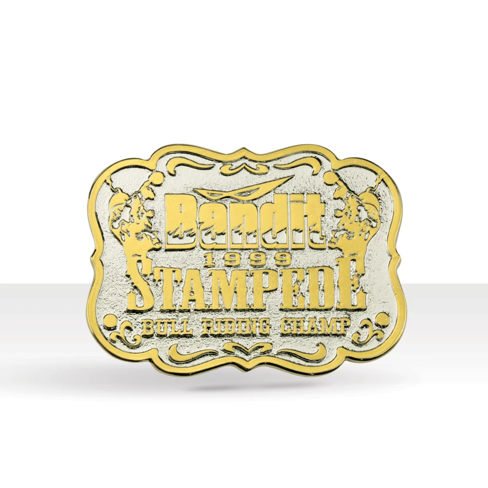 Boucle de ceinture classique bicolore (2 x 3 pouces)