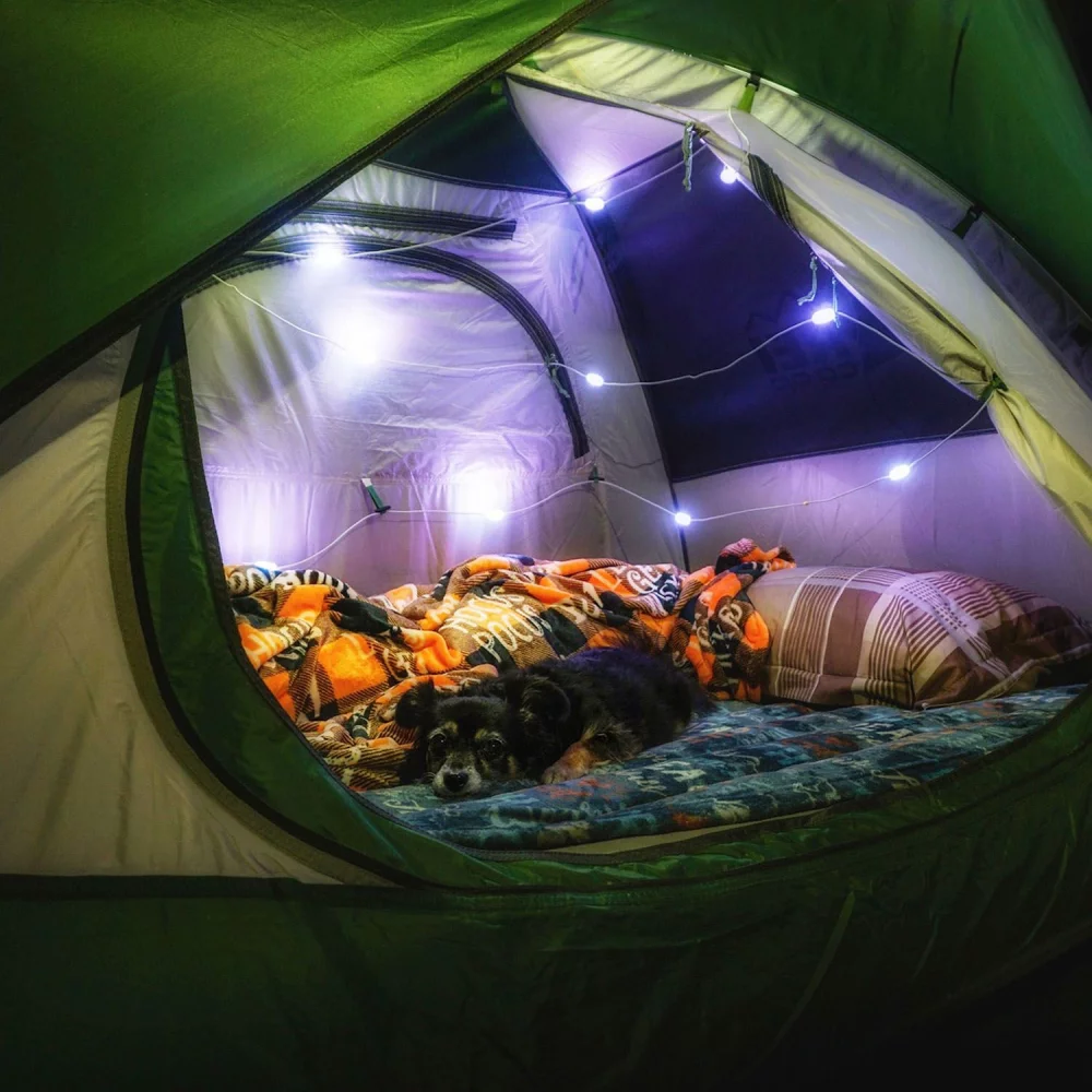 Luci Color Solar String Lights