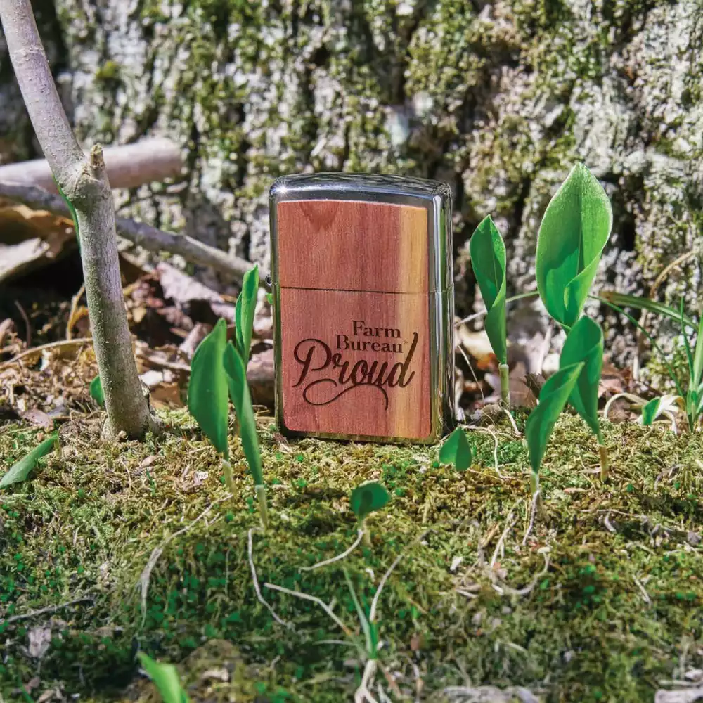 Briquet coupe-vent Zippo® Woodchuck USA en cèdre