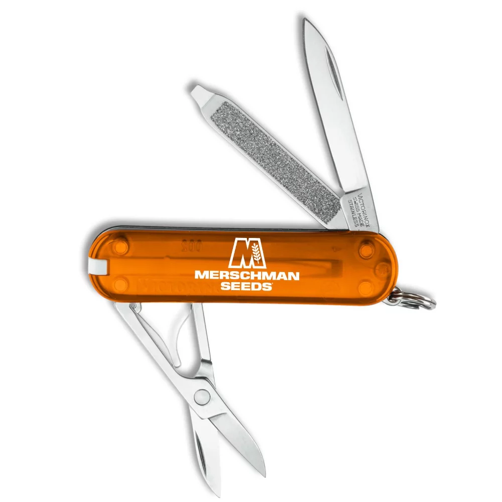 Mini Maglite® LED "AA" avec couteau suisse Victorinox® Classic