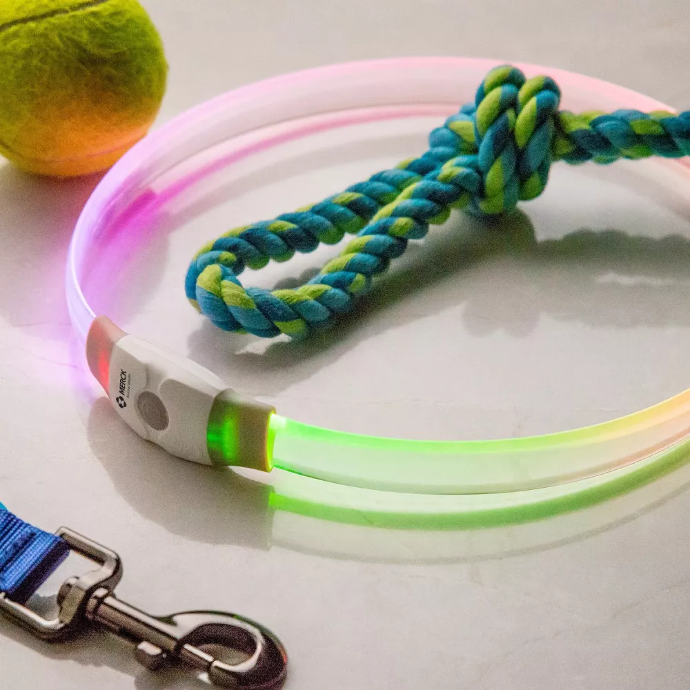 Nite Ize® Nitehowl® Max Rechargeable LED Safety Necklace