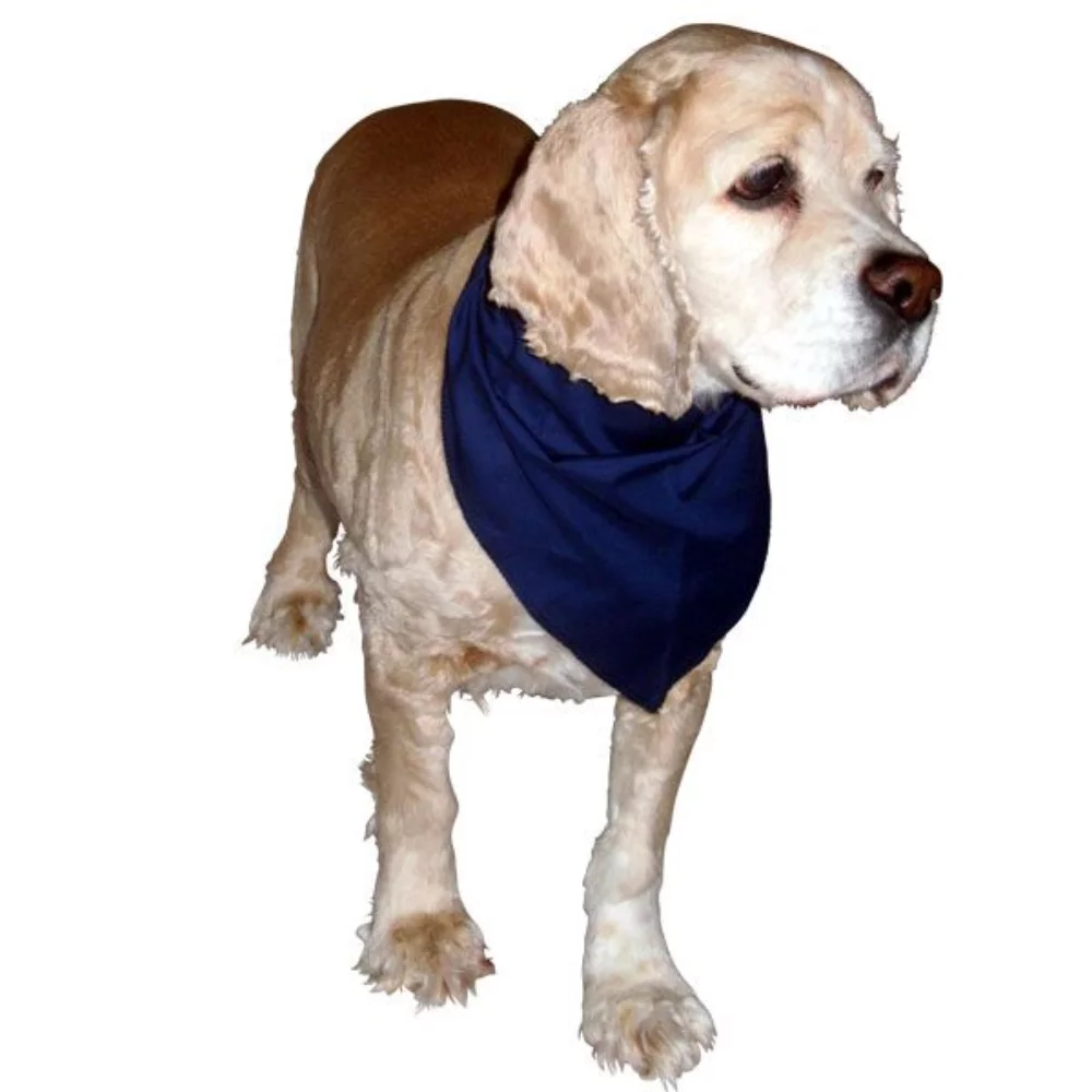 Canadian Made Premium Pet Bandannas
