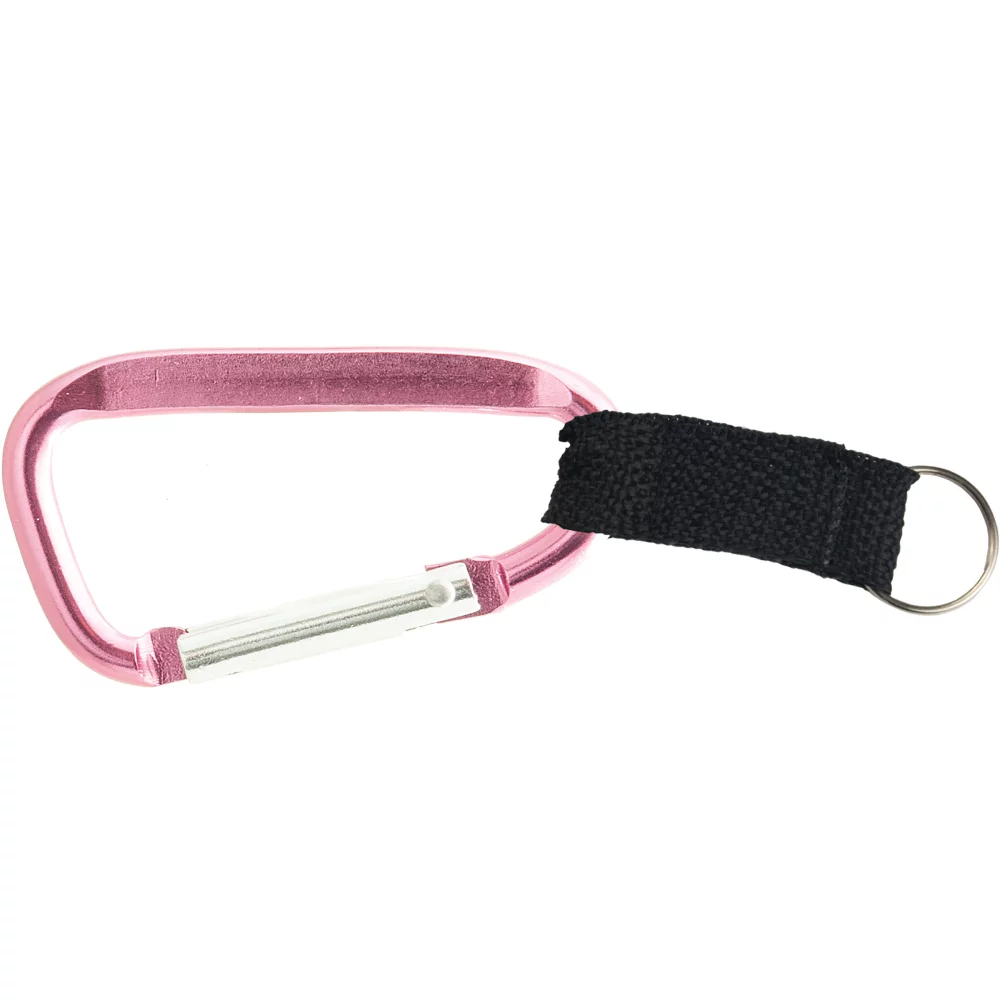 2" Small Carabiner with Web Strap