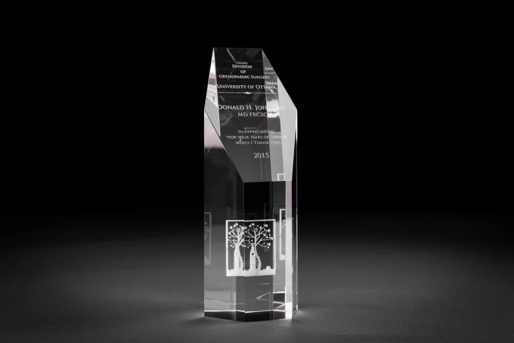 Crystal Hexagon Sand Carved Award (8 x 3 x 2 1/2")