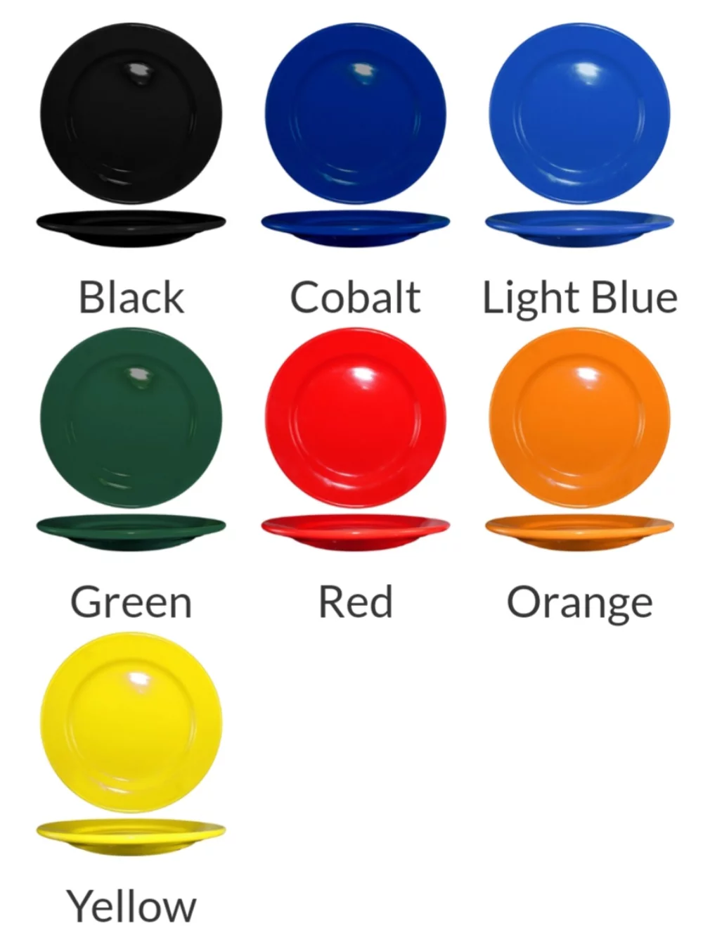 Coloured Plate with Wide Rim 10.25 Inch