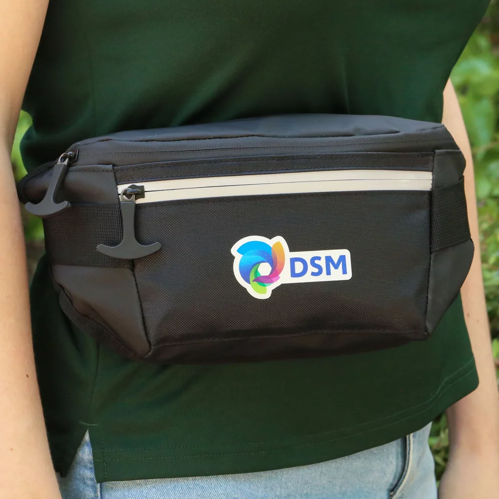 Sac banane Glacier Peak