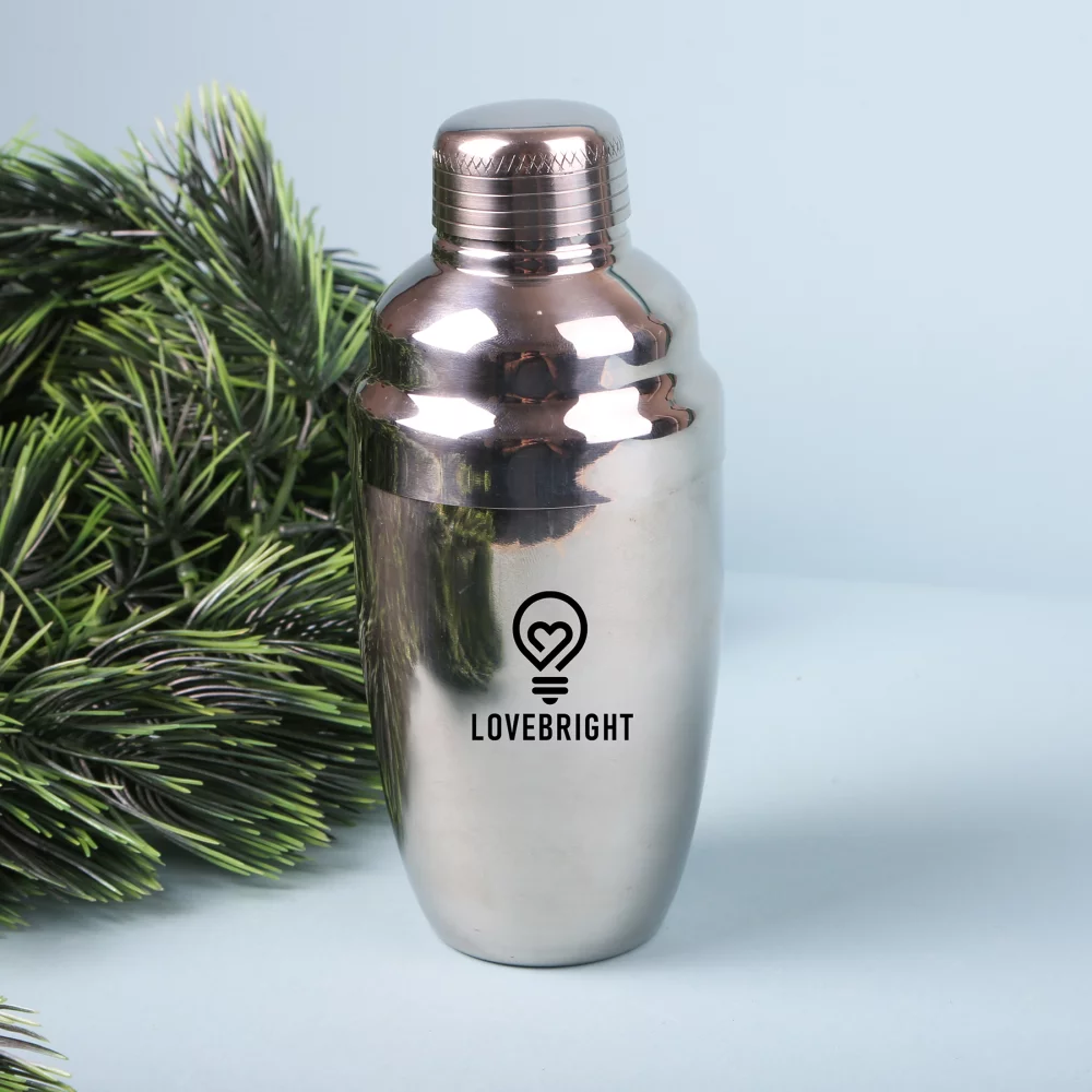 Mixmaster 500 Ml. (17 Fl. Oz.) Stainless Steel Cocktail Shaker