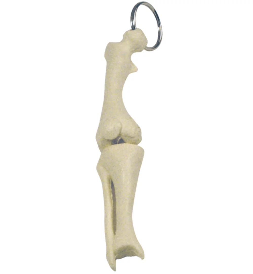 Knee Joint Key Chain