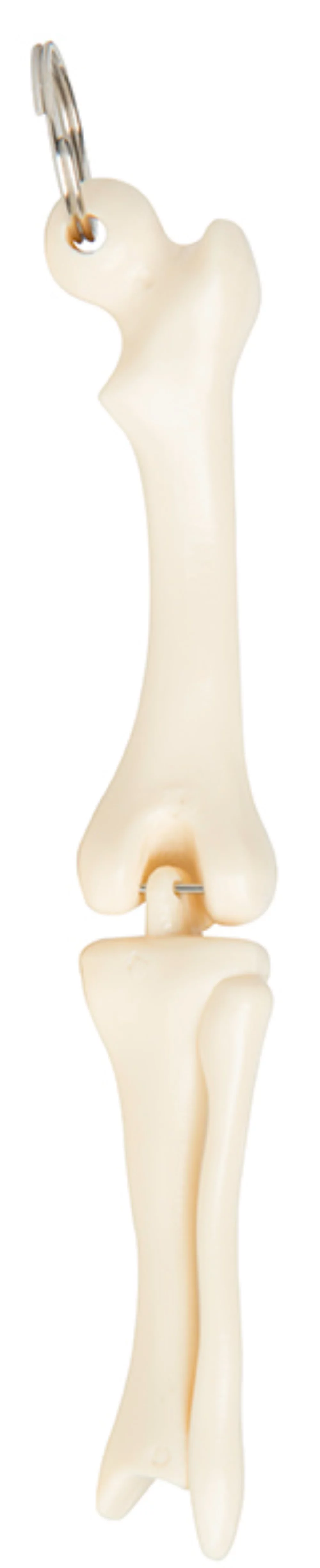 Knee Joint Key Chain