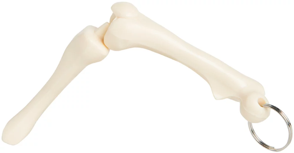 Knee Joint Key Chain