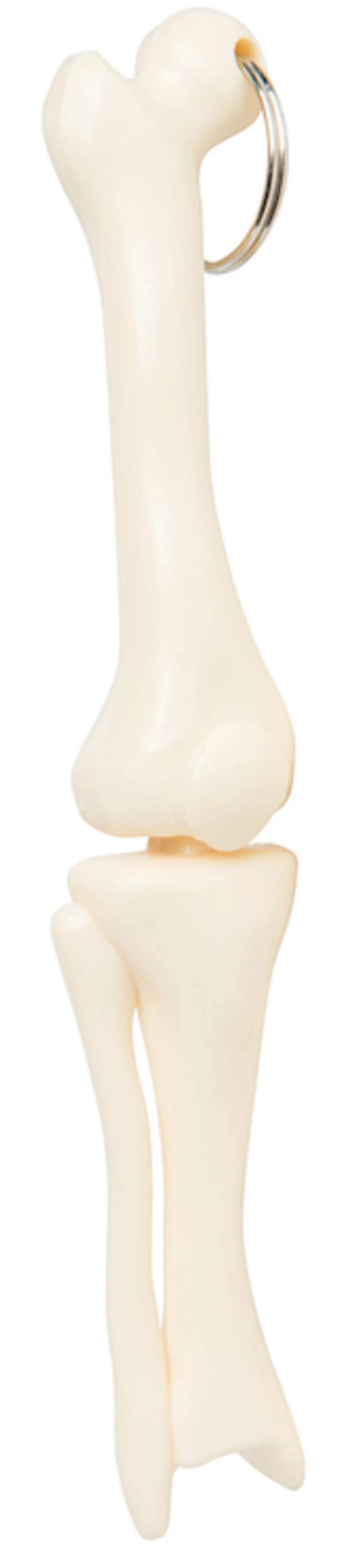 Knee Joint Key Chain