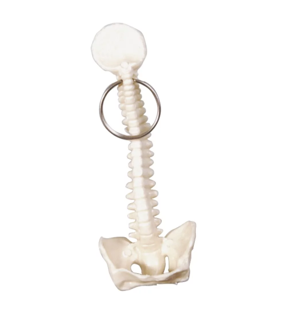 Spine Keyring