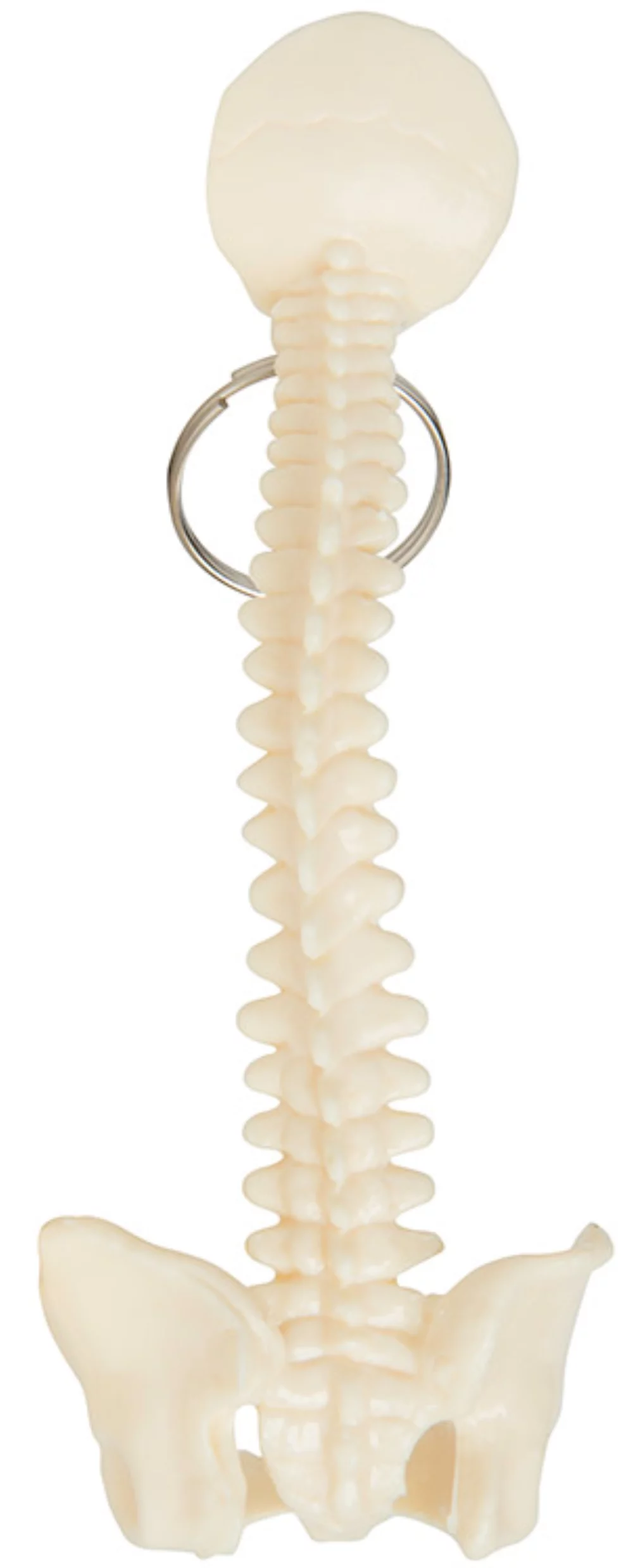 Spine Keyring