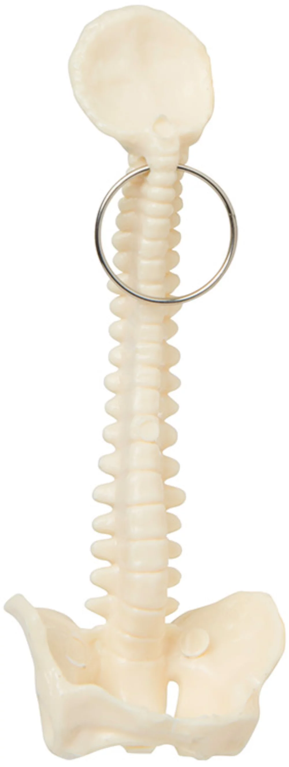 Spine Keyring