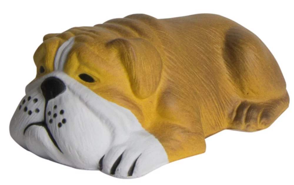 Chien couché soulageur de stress