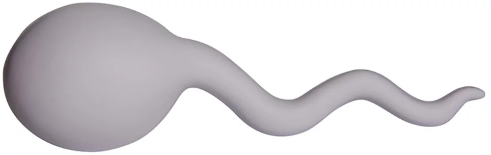 Sperm Stress Reliever