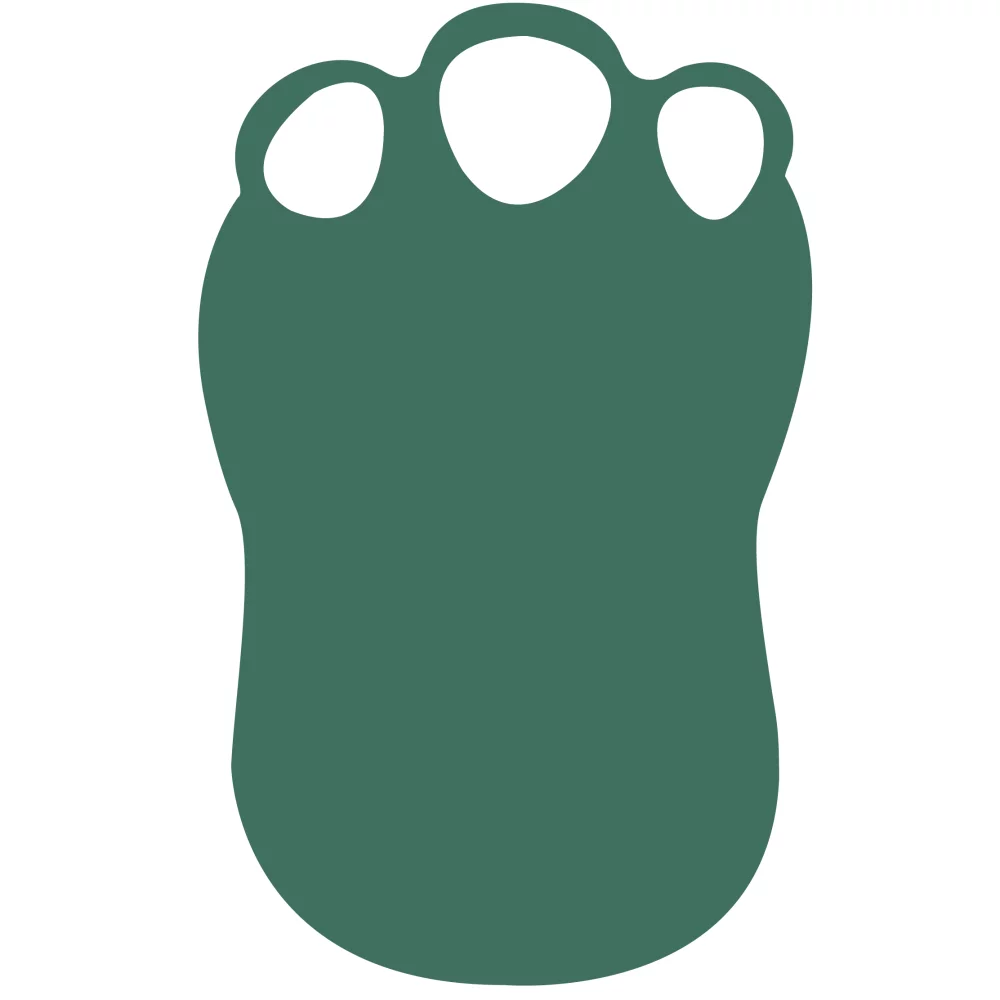 Foam Dinosaur Foot Mitt