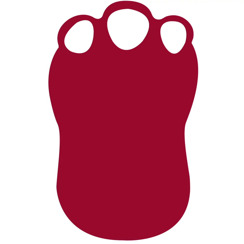 Foam Dinosaur Foot Mitt