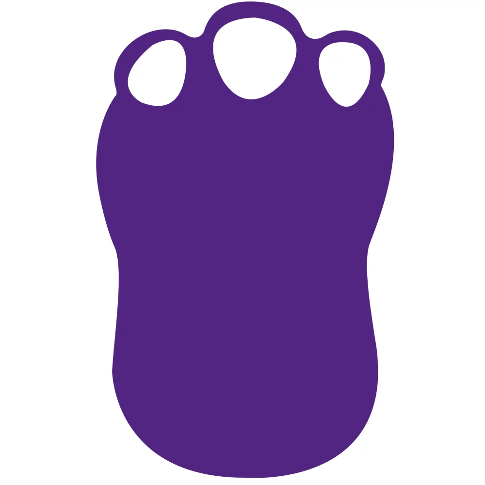 Foam Dinosaur Foot Mitt