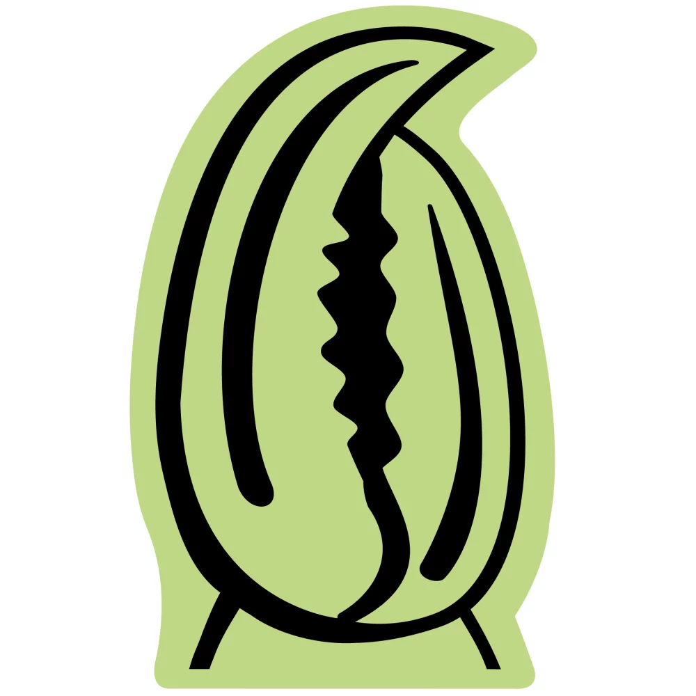 Pince de crabe en mousse