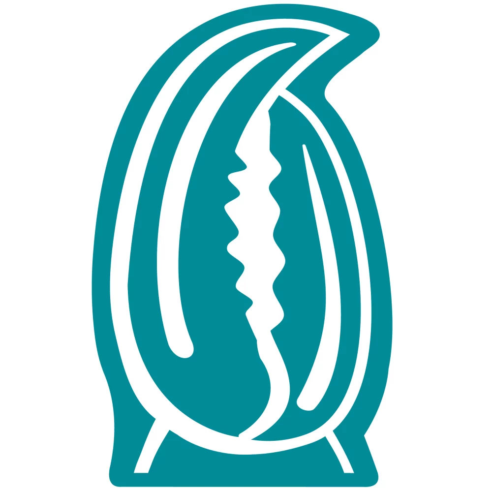 Pince de crabe en mousse