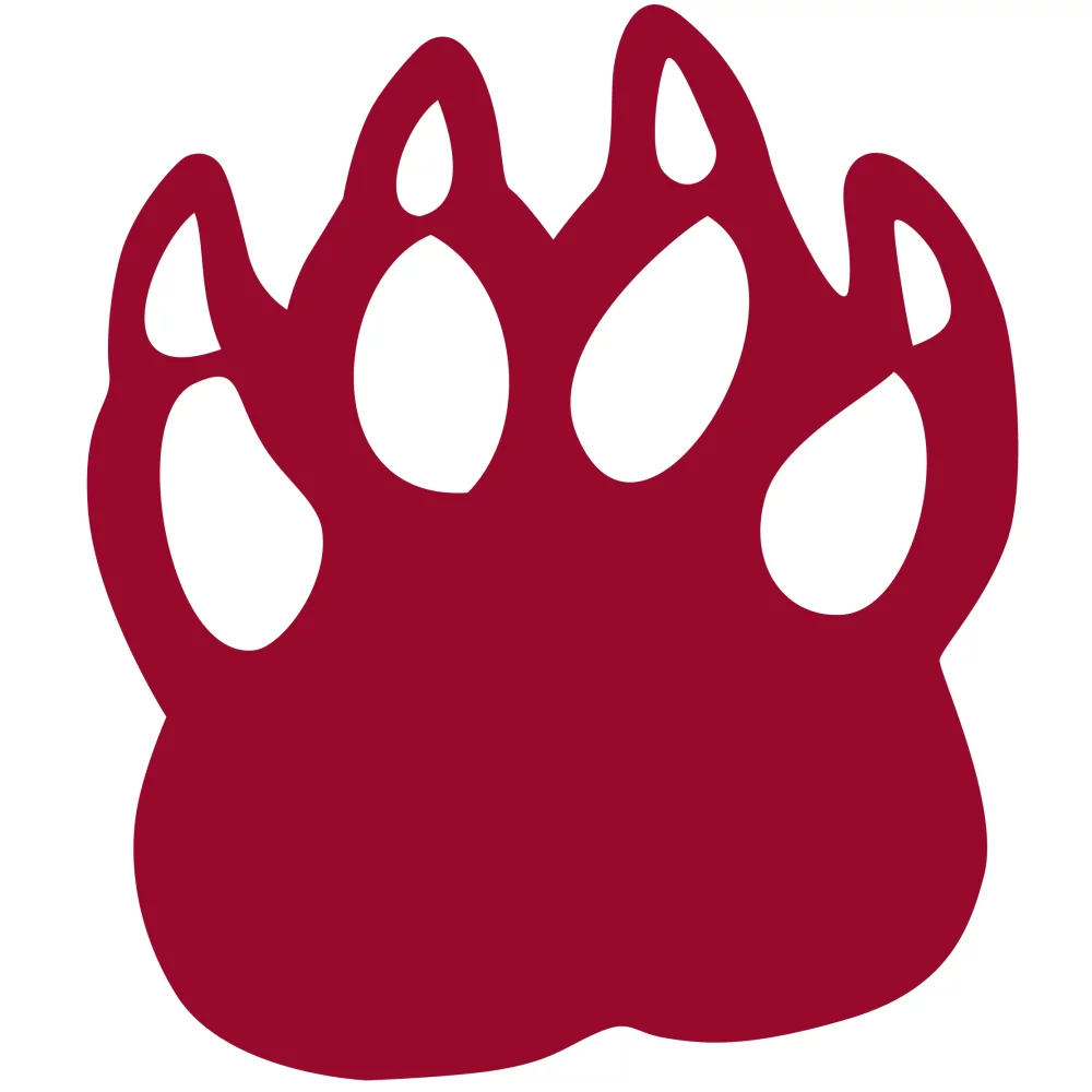 Foam Cat Claw Cheering Mitt