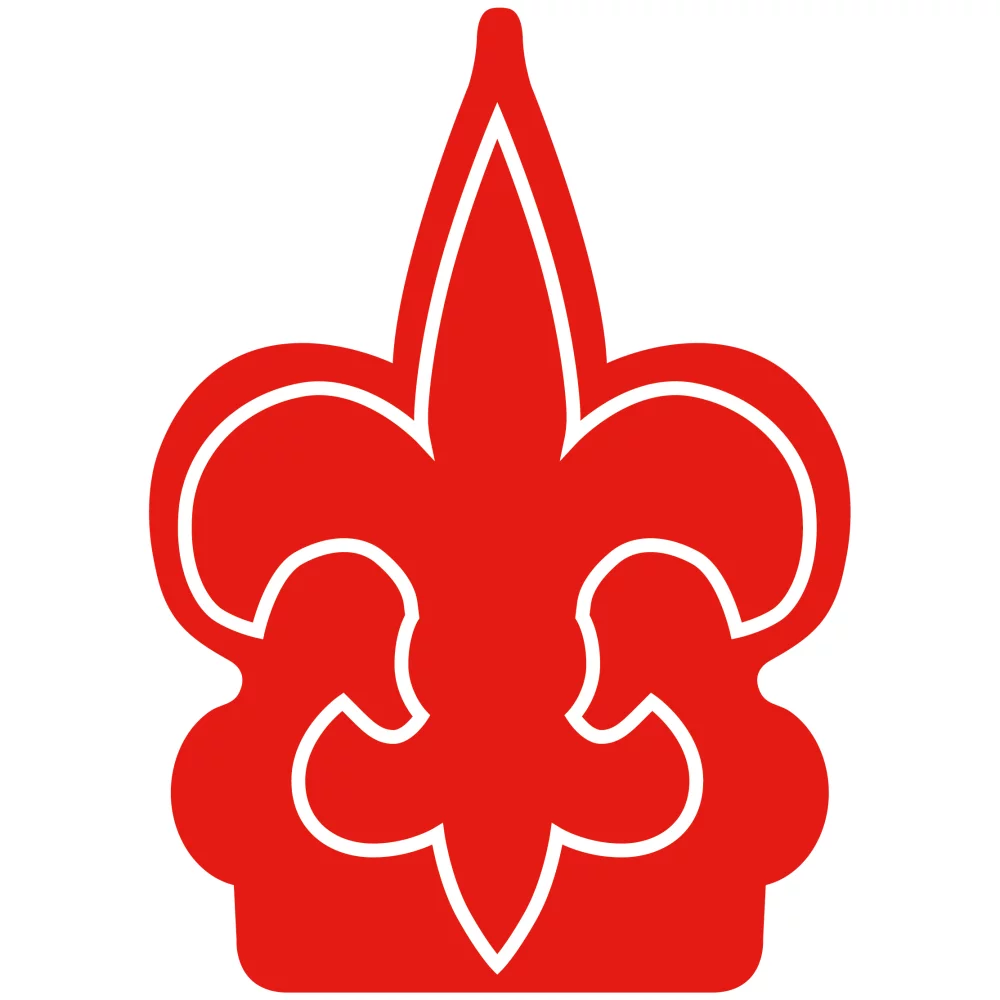 Fleur De Lys Foam Mitt