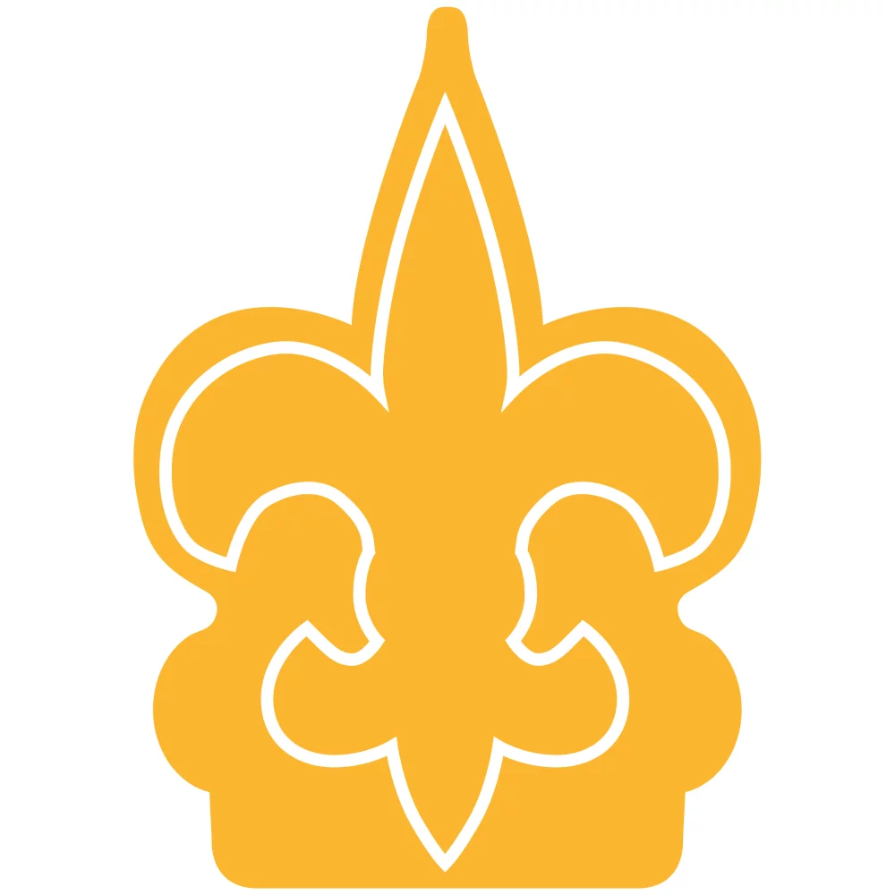 Fleur De Lys Foam Mitt