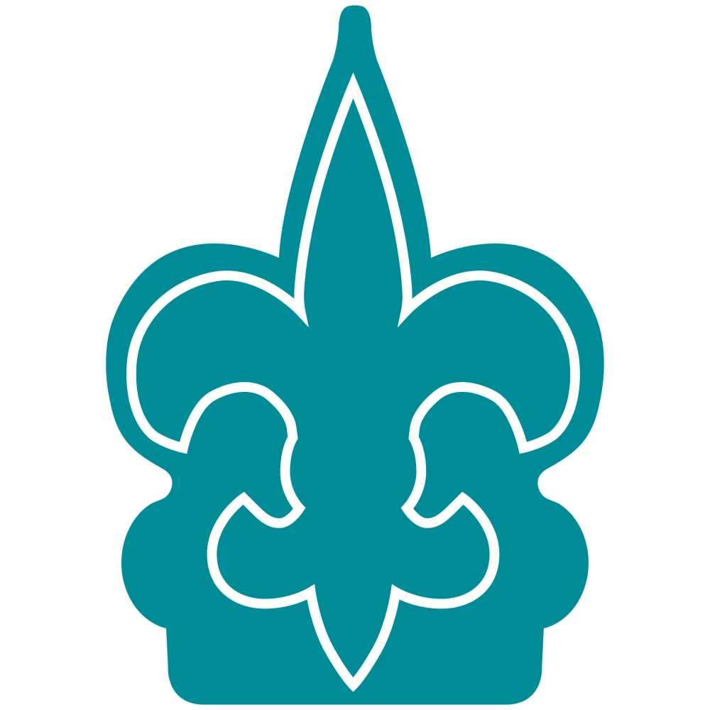 Fleur De Lys Foam Mitt
