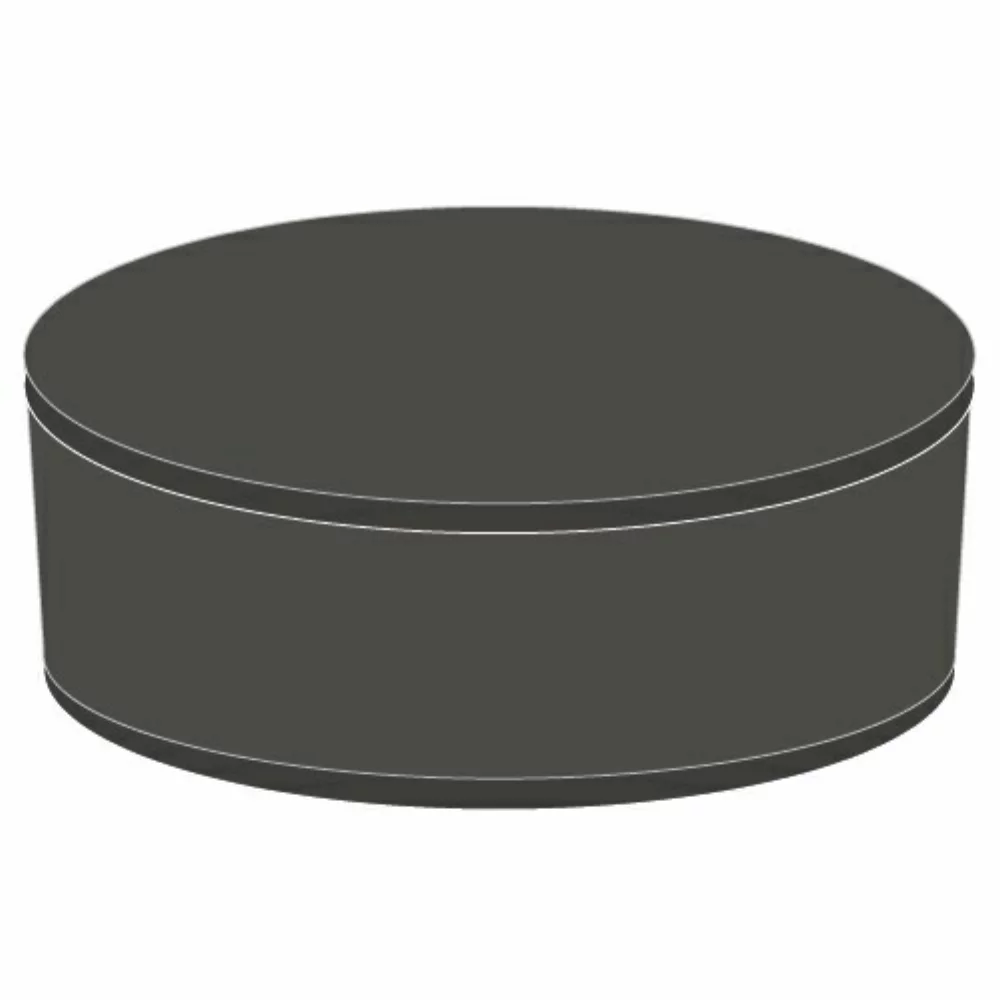 Foam Puck Hat
