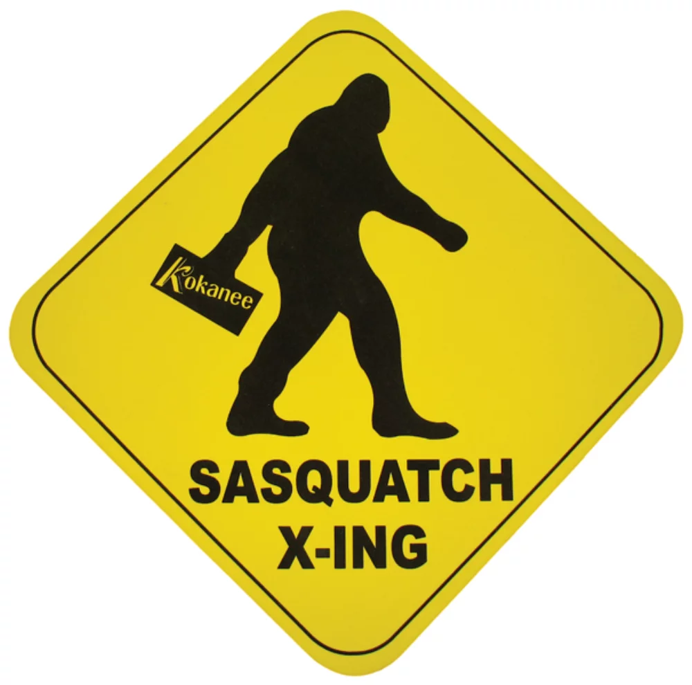 Panneau en mousse (14")