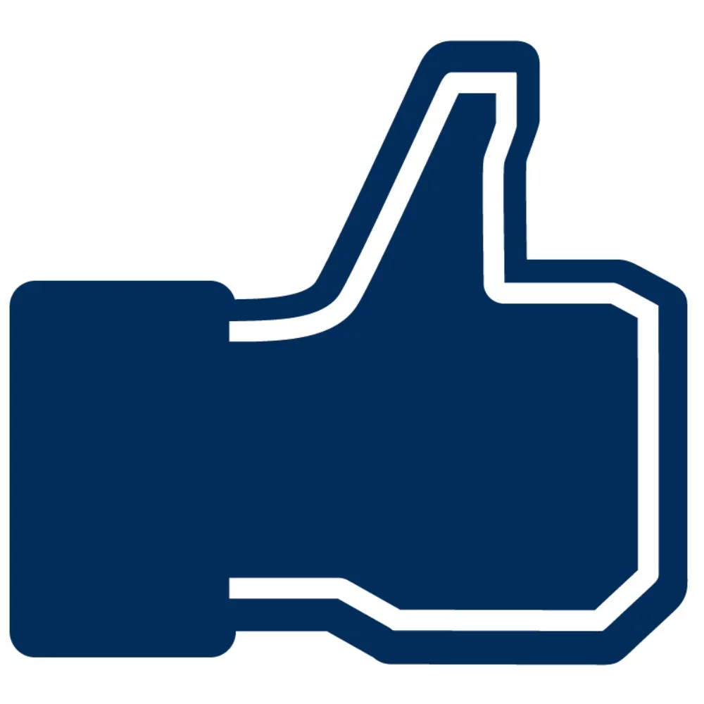 Facebook Foam Hand Mitt