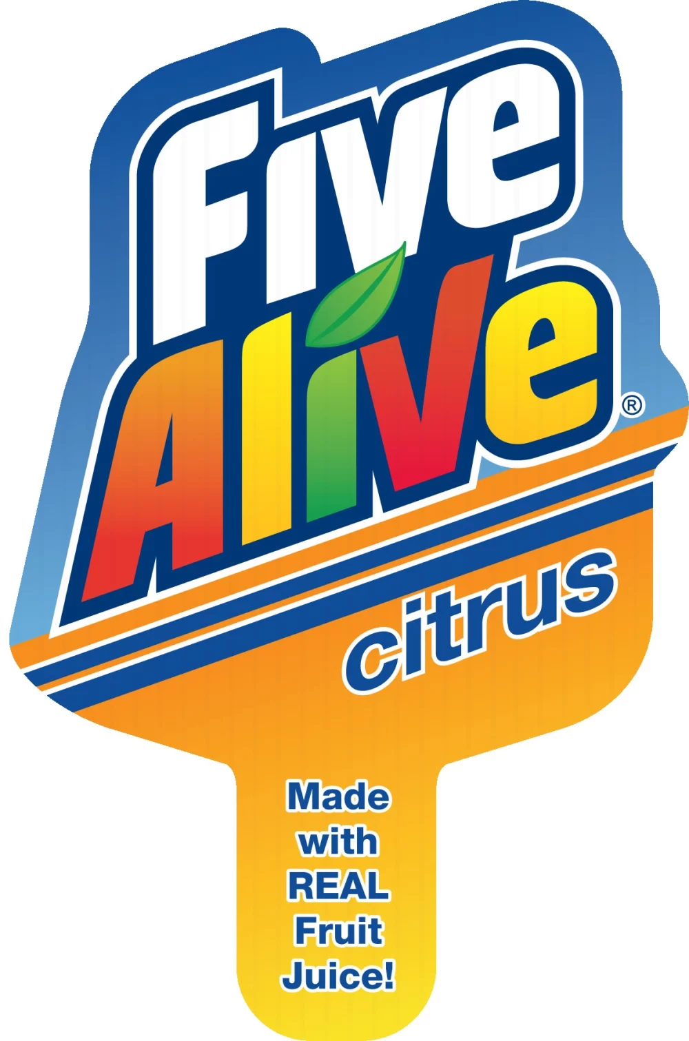 Custom Mini Hand Fans