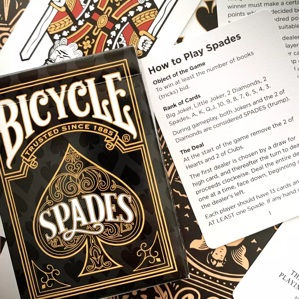 Bicycle® You're The Real Deal Spades Game Gift Set - Natural