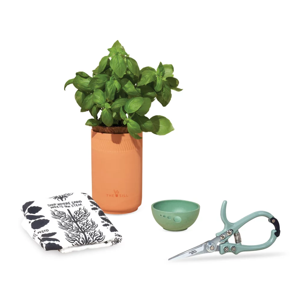 Ensemble cadeau de culture gastronomique Modern Sprout® - Terre cuite